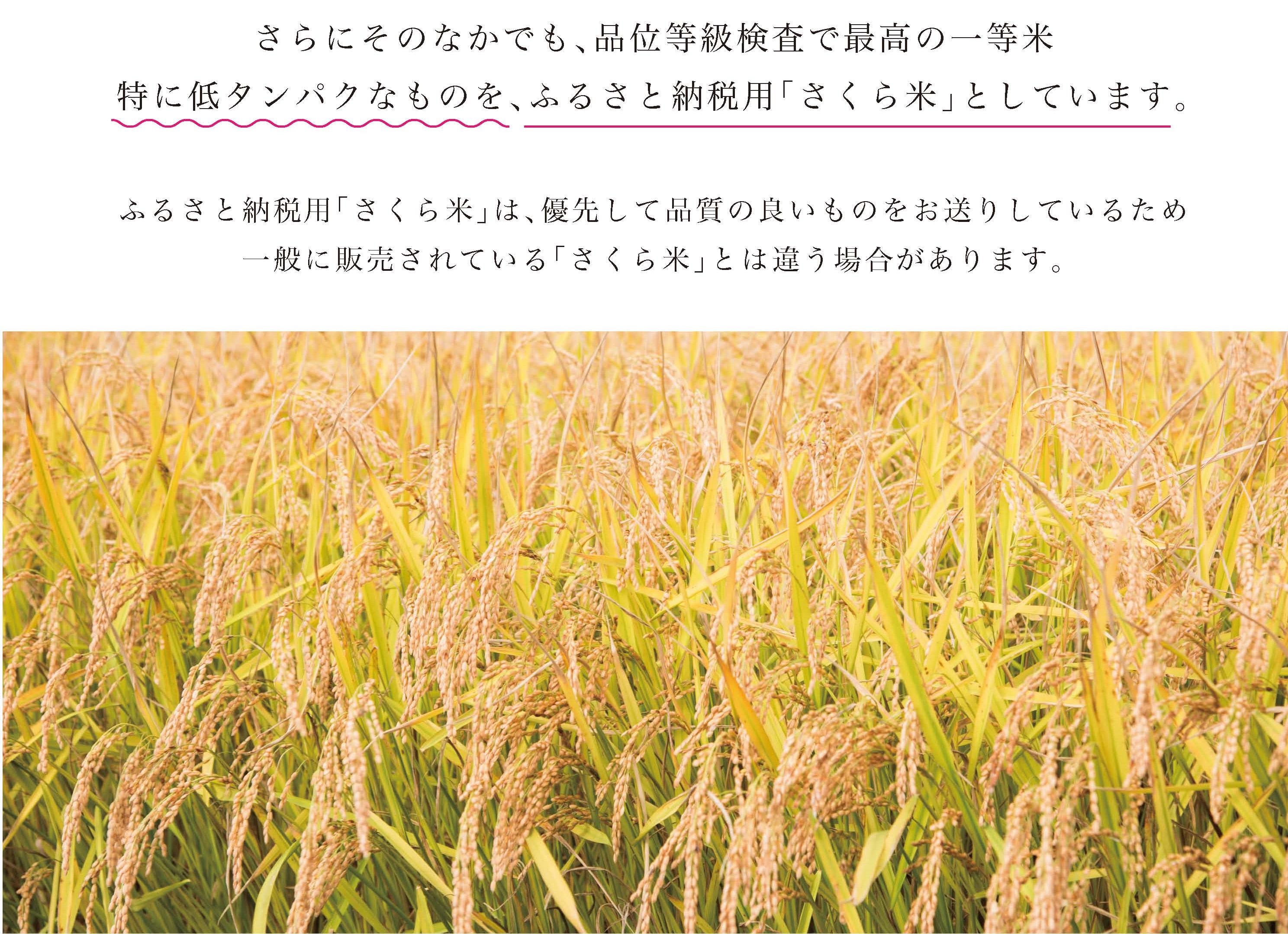 北海道　あつまのブランド米毎月１０kg半年＋干物３回定期便コース