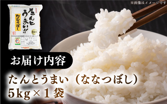 【令和6年産新米】【特A】たんとう米（ななつぼし）5kg《厚真町》【とまこまい広域農業協同組合】 米 お米 白米 ご飯 ななつぼし 特A 北海道 [AXAB060]