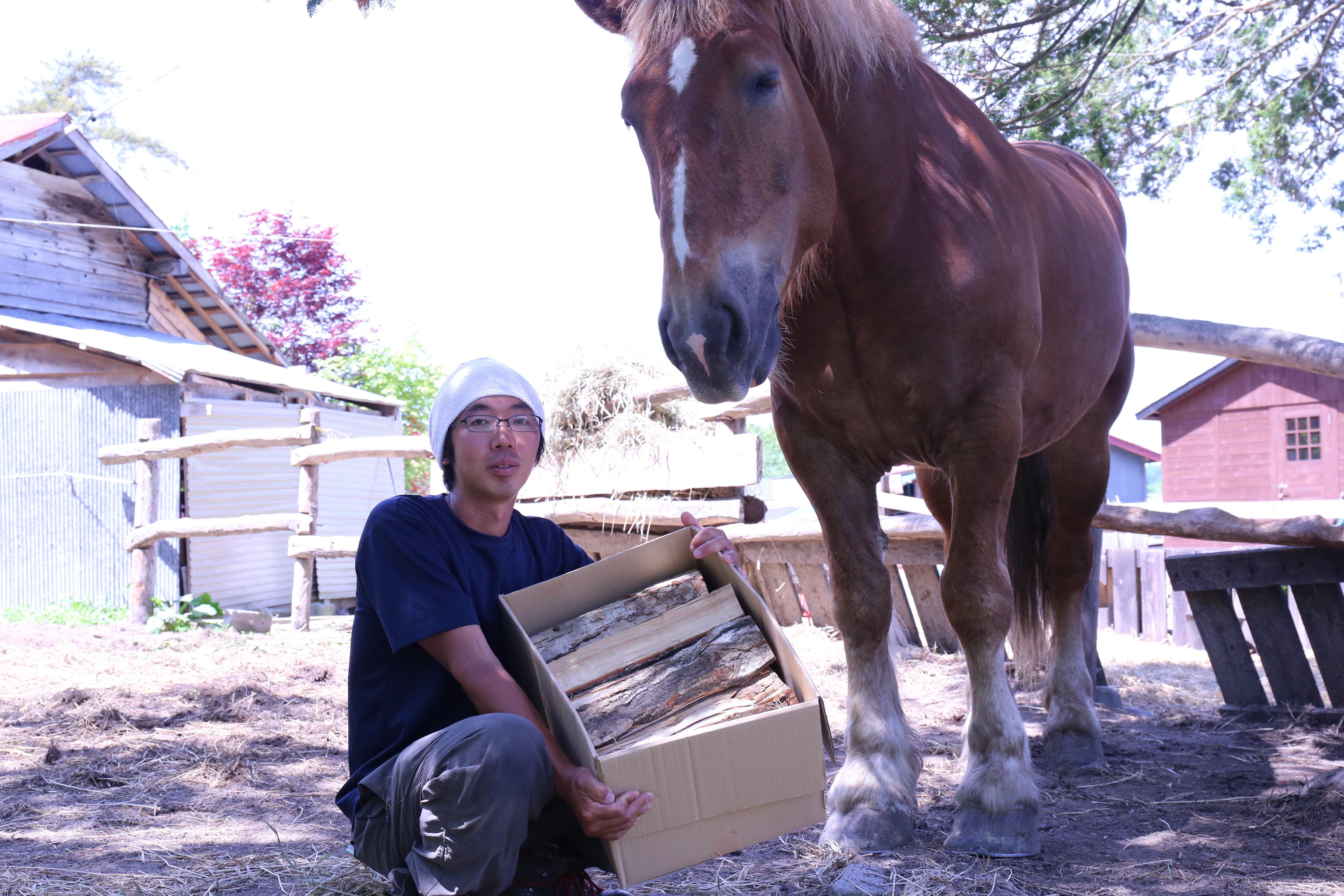 ＜馬の林業＞西埜馬搬の北海道ナラ薪20kg