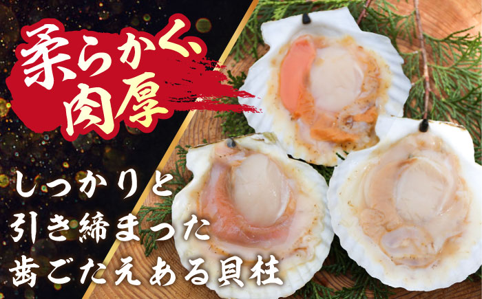 ＜期間限定受付＞【訳あり！】漁港直送！天然貝殻付き活ホタテ2.5kg《厚真町》　【鵡川漁業協同組合】　ホタテ 活ホタテ 帆立 海鮮 冷蔵配送 北海道 [AXAL007]