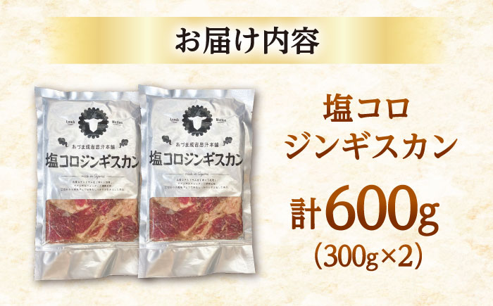 塩コロジンギスカン 計600g（300g×2パック）《厚真町》【有限会社市原精肉店】 ジンギスカン 羊肉 ラム 焼肉用 味付き 小分け 冷凍配送 北海道[AXAA001]