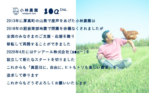 【全6回定期便】平飼い卵のクラシックプリン 4個《厚真町》【テンアール株式会社】 プリン ぷりん デザート スイーツ たまご 卵 鶏卵 玉子 生卵 平飼い 北海道 定期便 [AXAN079]