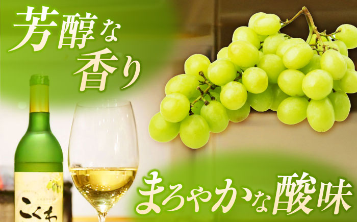 こくわワイン 白ワイン 720ml×2《厚真町》【とまこまい広域農業協同組合】 こくわ ワイン 白 辛口 お酒 北海道[AXAB043]