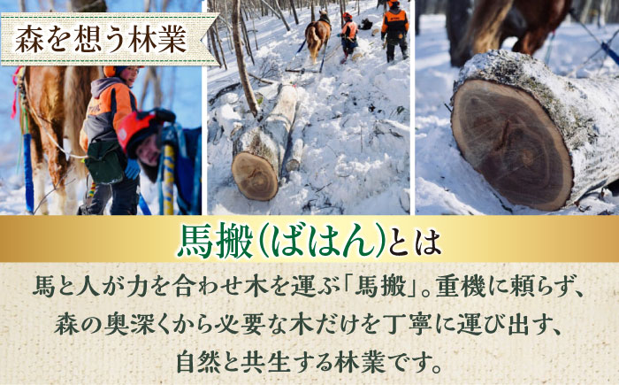 【月2回・全8回定期便】北海道 ナラ薪 20kg《厚真町》【西埜馬搬】 薪 まき 薪ストーブ ストーブ キャンプ 北海道 定期便 [AXBE012]