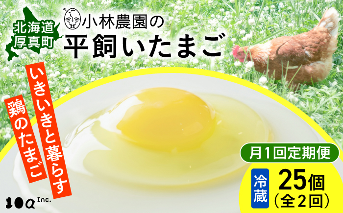【全2回定期便】小林農園の平飼いたまご・無投薬 25個《厚真町》【テンアール株式会社】 有精卵 卵 鶏卵 玉子 生卵 平飼い 北海道 定期便 [AXAN090]