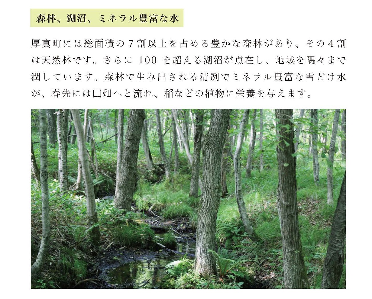 〈令和6年産 新米〉北海道あつまのブランド米　毎月１０kg1年間定期便コース