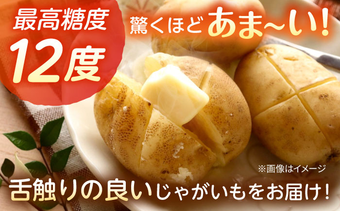 【先行予約商品】【5月中旬から発送予定！】氷室メークイン 5kg《厚真町》【とまこまい広域農業協同組合】 じゃがいも ジャガイモ 芋 メークイン 野菜 先行予約 北海道 [AXAB046]