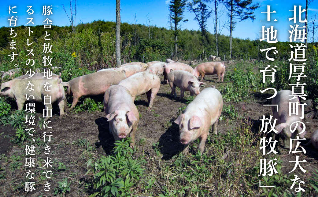厚真希望農場の放牧豚のハム・ソーセージ＆スライス肉