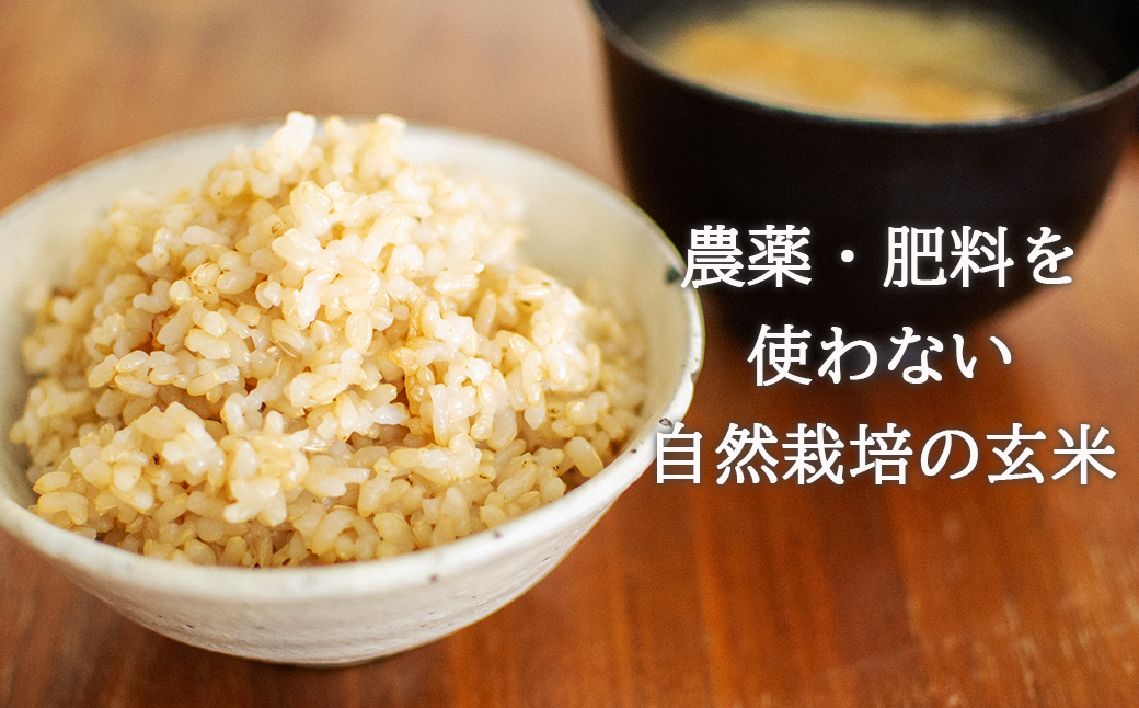 ＜令和6年産新米＞北海道で育った自然栽培米「角田玄米」 5kg 《厚真町》【カクタファーム】 [AXAR001]