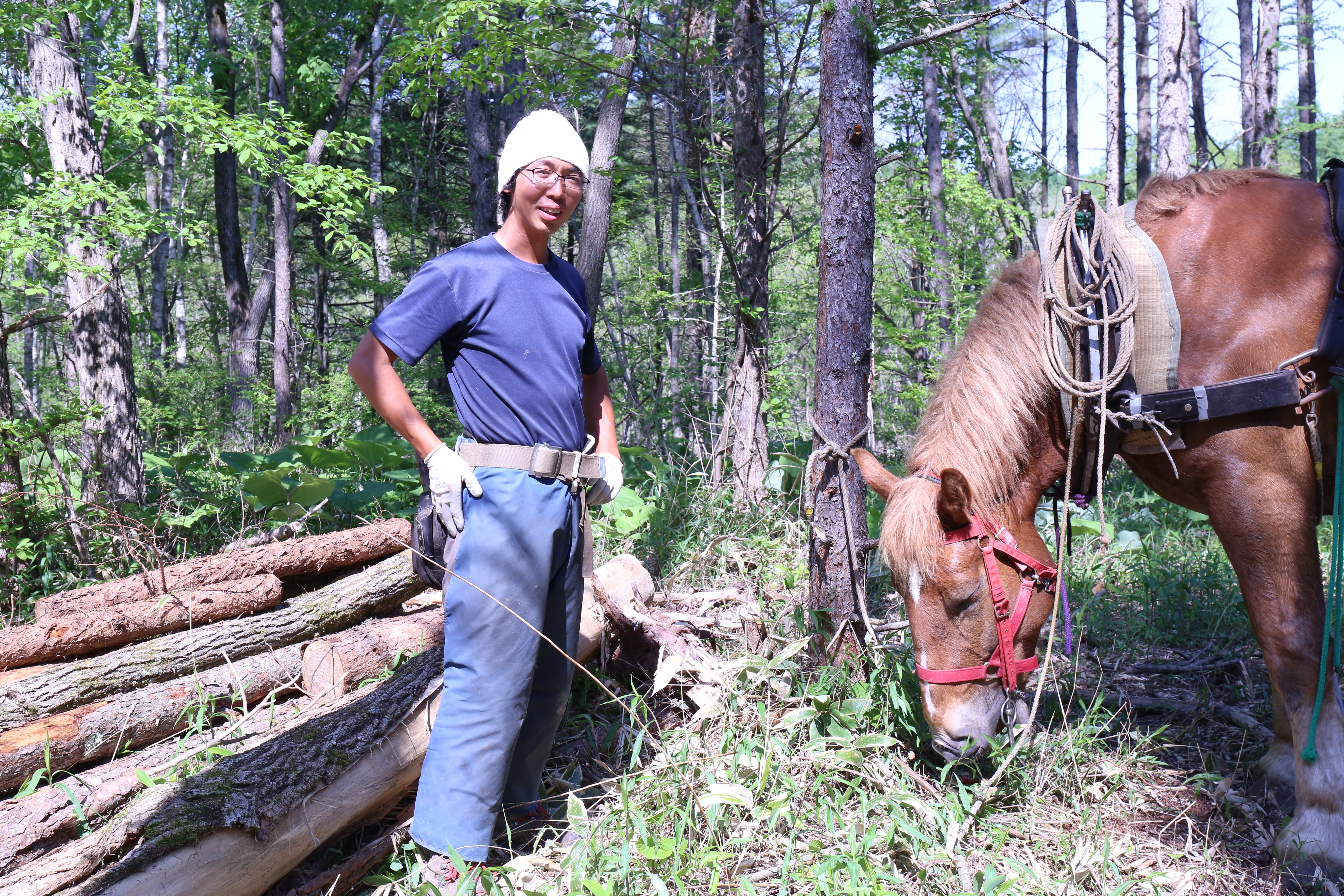 ＜馬の林業＞西埜馬搬の北海道ナラ薪100kg