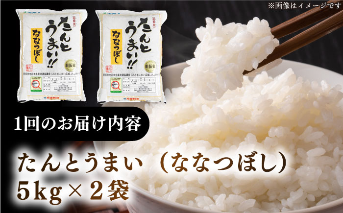 【全2回定期便】【令和6年産新米】特A受賞 たんとう米(ななつぼし) 10kg 《厚真町》 【とまこまい広域農業協同組合】 お米 ご飯 ななつぼし [AXAB068]