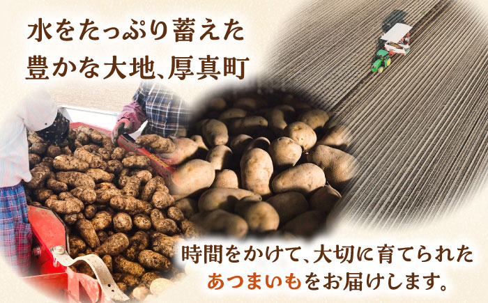 氷室熟成あつまいも（メークイン）3kg×1箱 《厚真町》 【株式会社伝平さんの畑】 じゃがいも ジャガイモ メークイン 芋 熟成 熟成芋 野菜 北海道 [AXAD006]