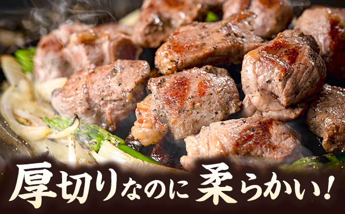 塩コロジンギスカン 計1.2kg（300g×4パック）《厚真町》【有限会社市原精肉店】 ジンギスカン 羊肉 ラム 焼肉用 味付き 小分け 冷凍配送 北海道 [AXAA017]