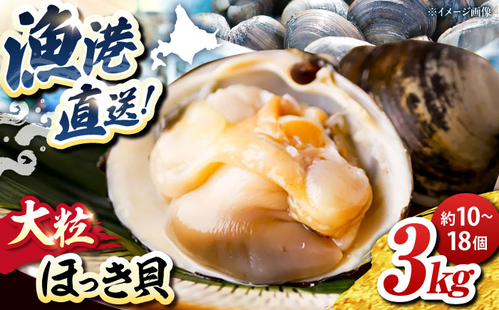 厚真町近海で獲れた 活ほっき貝 3kg（約10〜18個）《厚真町》【鵡川漁業協同組合】 ほっき ほっき貝 ホッキ ホッキ貝 北寄貝 海鮮 冷蔵配送 北海道 [AXAL003]