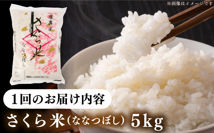 【全6回定期便】【令和6年産】【特A】一等米 さくら米（ななつぼし）5kg《厚真町》【とまこまい広域農業協同組合】  米 お米 白米 ななつぼし 特A 一等米 北海道[AXAB029]