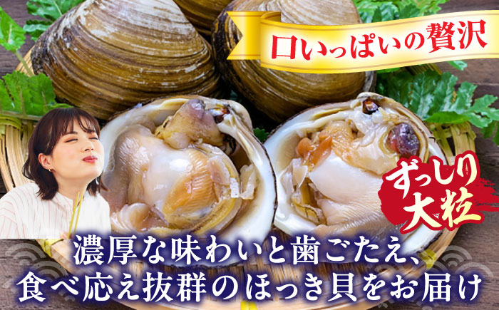 厚真町近海で獲れた 活ほっき貝 3kg（約12～18個）《厚真町》【鵡川漁業協同組合】 ほっき ほっき貝 ホッキ ホッキ貝 北寄貝 海鮮 冷蔵配送 北海道 [AXAL003]