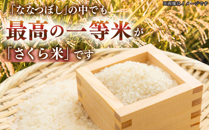 【令和7年産】【特A】お米2種 食べ比べ（さくら米・ゆめぴりか）計10kg《厚真町》【とまこまい広域農業協同組合】 米 お米 白米 ご飯 ななつぼし ゆめぴりか 特A 北海道[AXAB027]