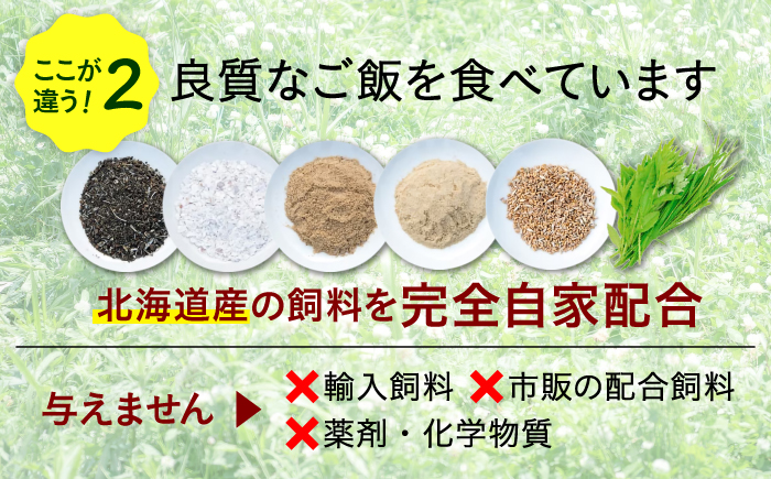 【月2回・全4回定期便】小林農園の平飼いたまご・無投薬 25個《厚真町》【テンアール株式会社】 有精卵 卵 鶏卵 玉子 生卵 平飼い 北海道 定期便 [AXAN025]
