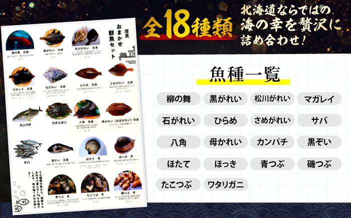 【北海道】漁港直送！季節のおまかせ鮮魚 3kgセット《厚真町》【鵡川漁業協同組合】海鮮 朝獲れ 産地直送 セット 詰め合わせ 冷蔵配送 北海道 [AXAL002]
