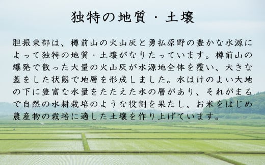 《令和5年度産 新米》北海道JAとまこまい広域のお米900g 2点セット！「さくら米･ゆめぴりか」 《厚真町》【とまこまい広域農業協同組合】 [AXAB057]