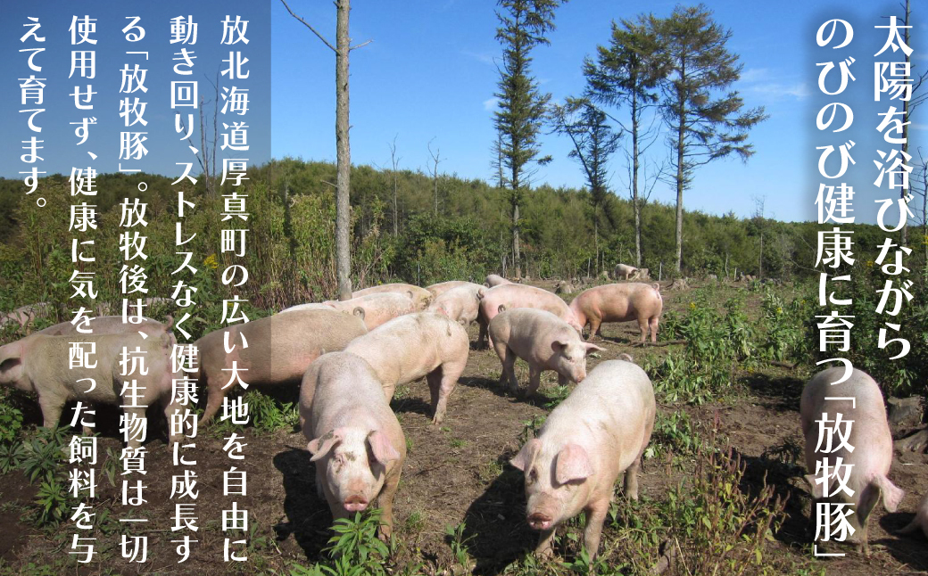 厚真希望農場で育った放牧豚のスライス肉セット