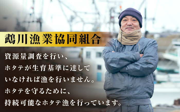 【数量限定】純天然 半殻つき 冷凍ホタテ 2袋セット《厚真町》【鵡川漁業協同組合】 ほたて ホタテ 帆立 海鮮 冷凍配送 北海道 [AXAL001]
