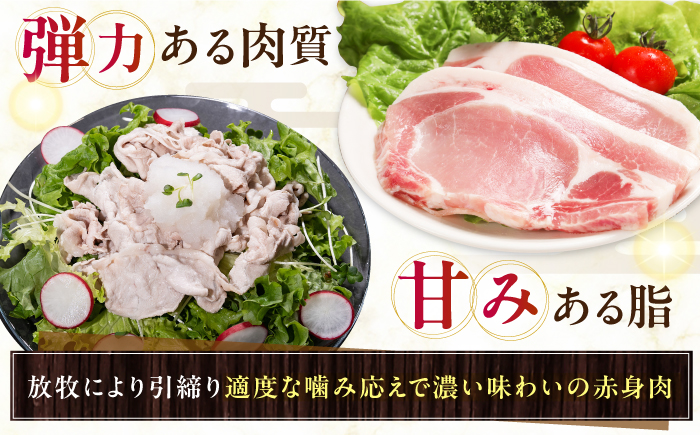 【全3回定期便】放牧豚 ローストポーク 2個（250g/個） 《厚真町》【ファーマーズファクトリー株式会社】 味付き 豚 肉 豚肉 ハム 焼き豚 ロース ロース肉 冷凍配送 北海道[AXBA035]