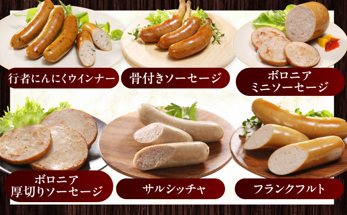 【全2回定期便】【結着剤・発色剤・保存料不使用】 放牧豚 ソーセージ11種 ボリュームセット《厚真町》【ファーマーズファクトリー株式会社】 ソーセージ ウインナー チョリソー 粗挽き 無塩せき 冷凍配送 セット 詰め合わせ 北海道[AXBA026]
