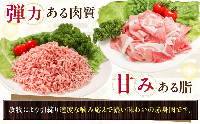 放牧豚 切落し・挽き肉 セット 計1kg（250g×4） 《厚真町》【ファーマーズファクトリー株式会社】 [AXBA158]