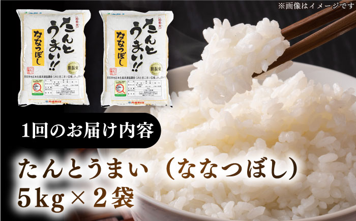 【全6回定期便】【新米 令和7年産】ななつぼし [たんとう米] 10kg《厚真町》【とまこまい広域農業協同組合】 米 定期便 6ヵ月 半年 毎月 お米 白米 ご飯 ななつぼし 北海道 [AXAB021]