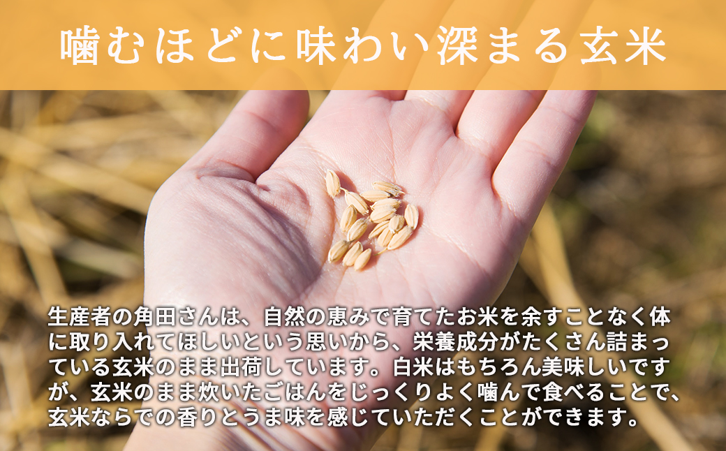 ＜令和6年産新米＞北海道で育った自然栽培米「角田玄米」 5kg 《厚真町》【カクタファーム】 [AXAR001]