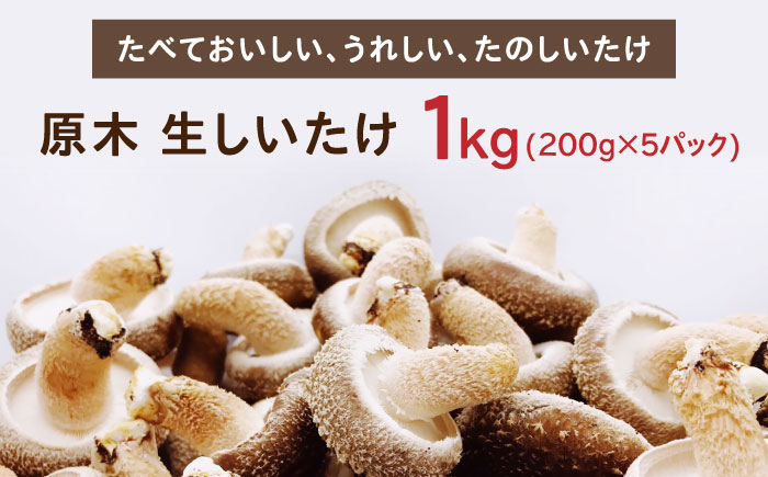 【2026年2月以降順次発送】原木 生しいたけ 1kg（200g×5パック）《厚真町》【株式会社きたい】 生 しいたけ 椎茸 きのこ キノコ 小分け 北海道 [AXAI001]