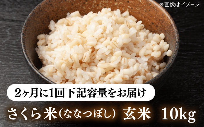 【隔月全3回定期便】【玄米】さくら米 10kg《厚真町》【とまこまい広域農業協同組合】 米 お米 玄米 ご飯 ななつぼし 一等米 特A 北海道 [AXAB082]