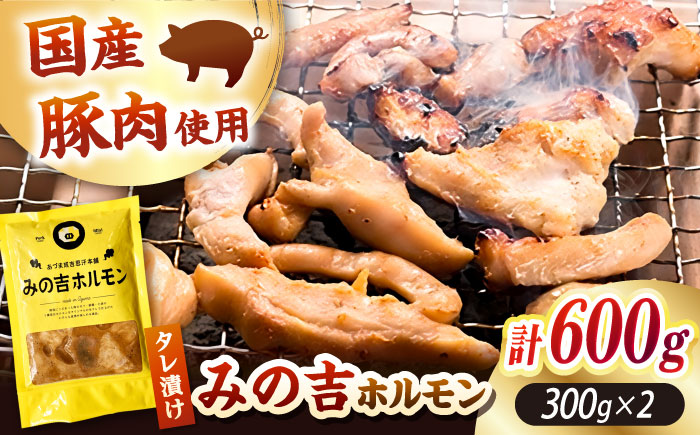 みの吉ホルモン 計600g（300g×2パック）《厚真町》【有限会社市原精肉店】 ほるもん ミノ 豚肉 焼肉 BBQ 味付き 味付きホルモン 味付けホルモン 小分け 冷凍 北海道 [AXAA031]