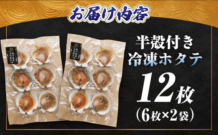 【数量限定】純天然 半殻つき 冷凍ホタテ 2袋セット《厚真町》【鵡川漁業協同組合】 ほたて ホタテ 帆立 海鮮 冷凍配送 北海道 [AXAL001]