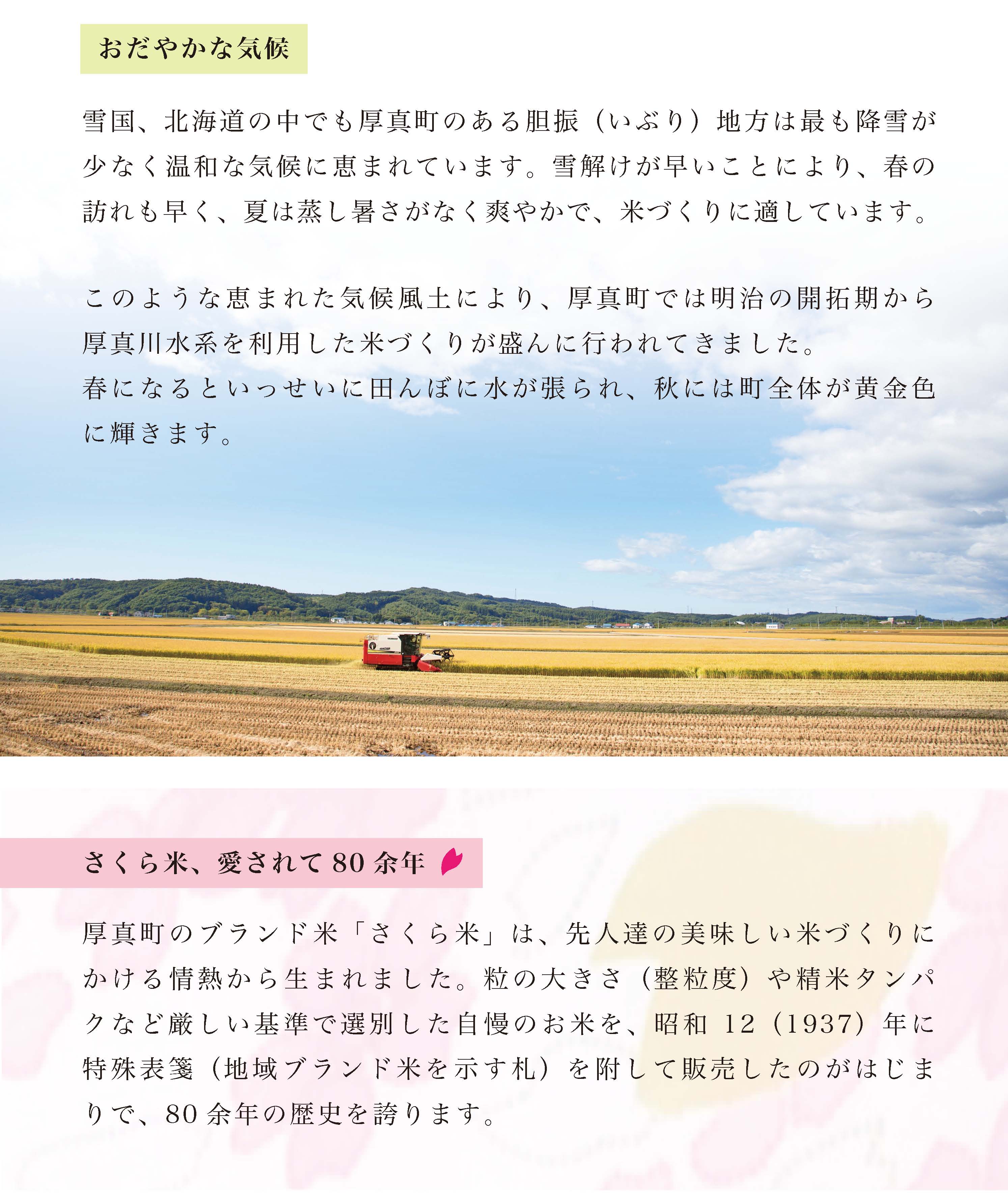 〈令和6年産 新米〉北海道厚真のブランド米「さくら米（ななつぼし）【無洗米】」半年間毎月5㎏