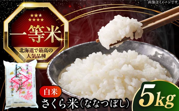 【令和6年産新米】【特A】一等米 さくら米（ななつぼし）5kg《厚真町》【とまこまい広域農業協同組合】  米 お米 白米 ななつぼし 特A 一等米 北海道[AXAB061]