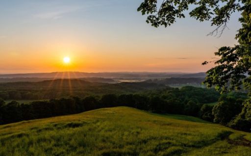 豊かな自然を守るための事業