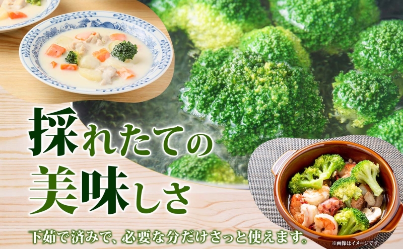 【訳あり】洞爺湖町産・冷凍ブロッコリー1kg 野菜 冷凍 冷凍野菜 カット野菜 簡単調理