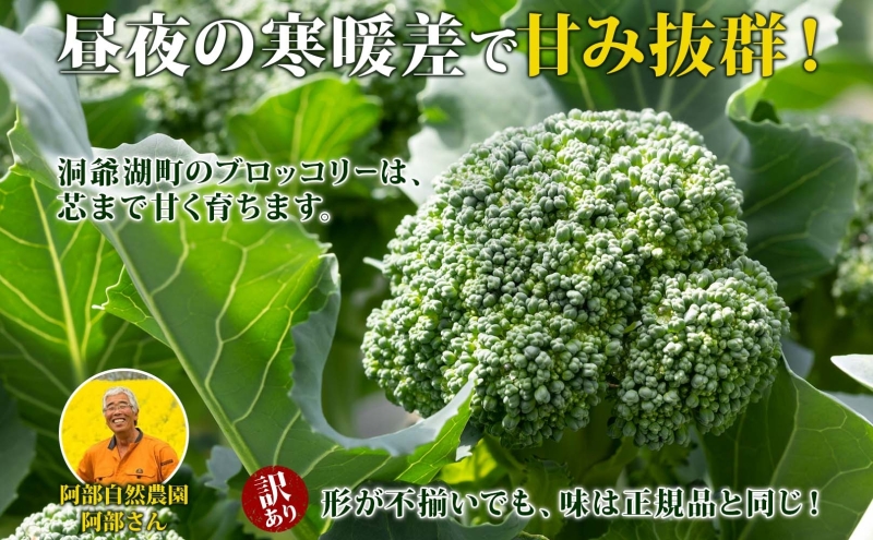 【訳あり】洞爺湖町産・冷凍ブロッコリー1kg 野菜 冷凍 冷凍野菜 カット野菜 簡単調理