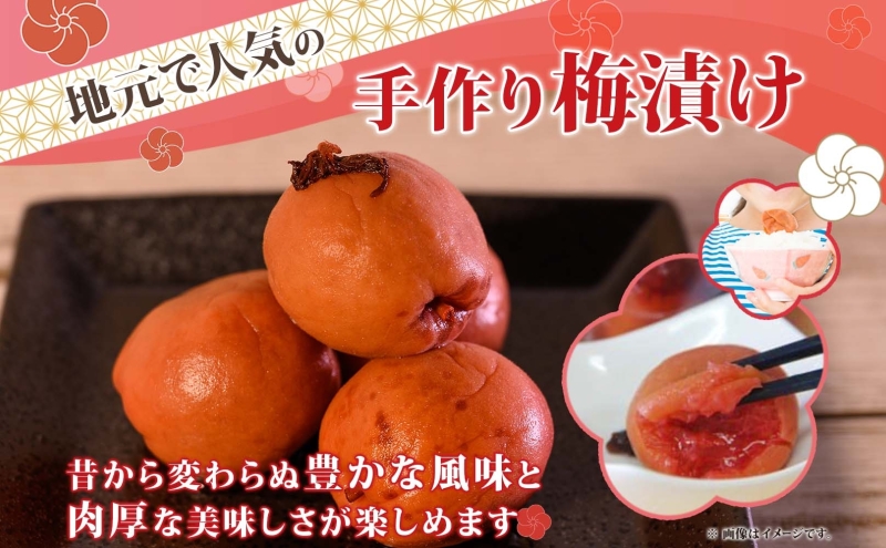 北海道・樹齢130年の梅漬け「しあわせの梅」1kg（200g×5個）