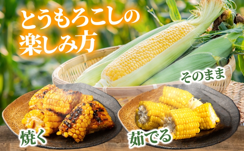 北海道産 とうもろこし 恵味 ゴールド 2L 18本 8月中旬～9月末頃お届け 朝採り めぐみ トウモロコシ コーン スイートコーン 甘い 新鮮 先行受付 夏 野菜 産地直送 送料無料 塩田農園 北海道 洞爺湖町