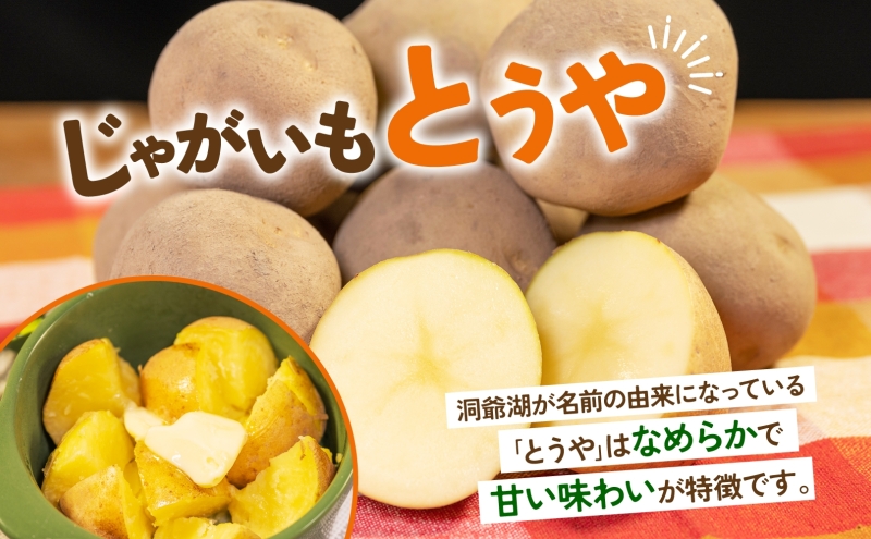 åæµ·éç£ éé蟲å ããããã ãšãã Lãµã€ãº çŽ10kg 2026幎10æåæ¬ïœ12æäžæ¬é ãå±ã å
è¡äºçŽ åæµ·é ãžã£ã¬ã€ã¢ ããŠã€ 銬éŽè¯ ããã è ãã ã€ã¢ é»è² æ¬ éè 蟲äœç© ç£å°çŽé ãåãå¯ã åœç£