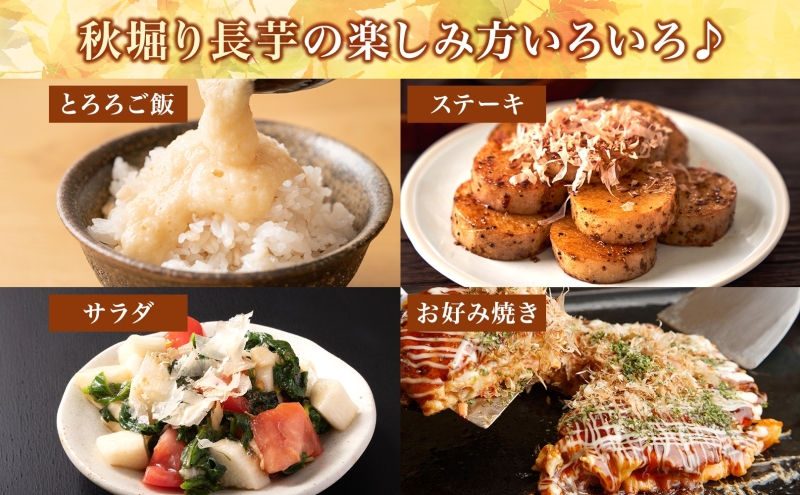 北海道 洞爺湖町産 春掘り 長芋 約5kg 先行受付 4月中旬～下旬にお届け 長いも ながいも 芋 山芋 山うなぎ とろろ ステーキ 千切り 万能 旬 秋 野菜 根菜 常温 塩田農園 洞爺湖町 