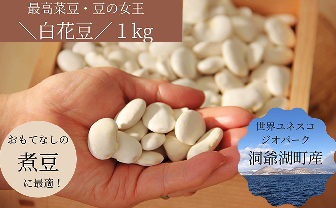 北海道・洞爺湖町産 高級菜豆の白花豆1kg(500g×2袋)