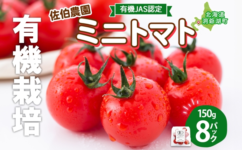 北海道 有機JAS認定 ミニトマト ダルタリー 150g×8パック 7月中旬～9月上旬頃にお届け 有機栽培 新鮮 旬 野菜 安心 安全 完熟 高糖度 濃厚 トマト 産地直送 農家直送 佐伯農園 送料無料 洞爺湖