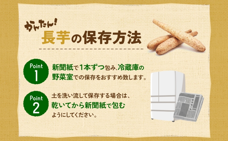 北海道産 青野農園 土つき 長いも 約5kg 5～7本 11月下旬～12月中旬ごろお届け ながいも 土付き 北海道 長芋 自然薯 とろろ いも イモ 旬 野菜 農作物 産地直送 お取り寄せ 送料無料