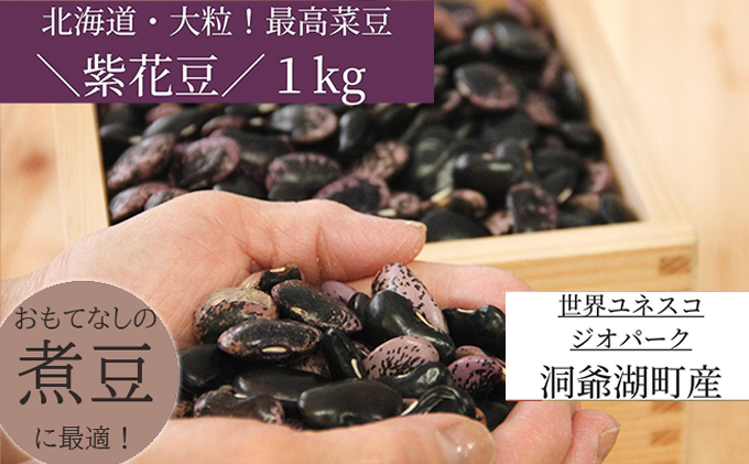 北海道・洞爺湖町産 高級菜豆の紫花豆1kg（500g×2袋）