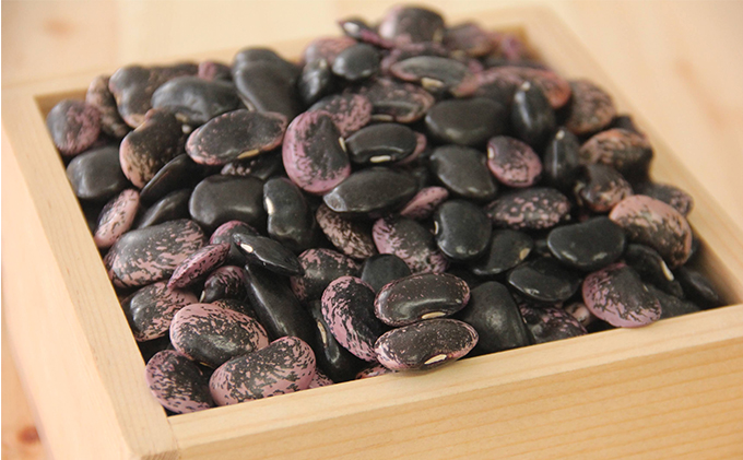 北海道・洞爺湖町産 高級菜豆の紫花豆1kg（500g×2袋）|JALふるさと納税|JALのマイルがたまるふるさと納税サイト
