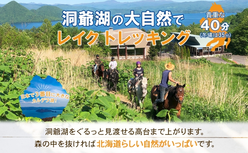  北海道 乗馬体験 40分コース ペア券 ホース トレッキング 絶景 自然 貴重 体験 経験 景色 ふれあい 血統馬 初心者 本格的 のんびり お子様 大人 楽しい レイクトーヤランチ 洞爺湖